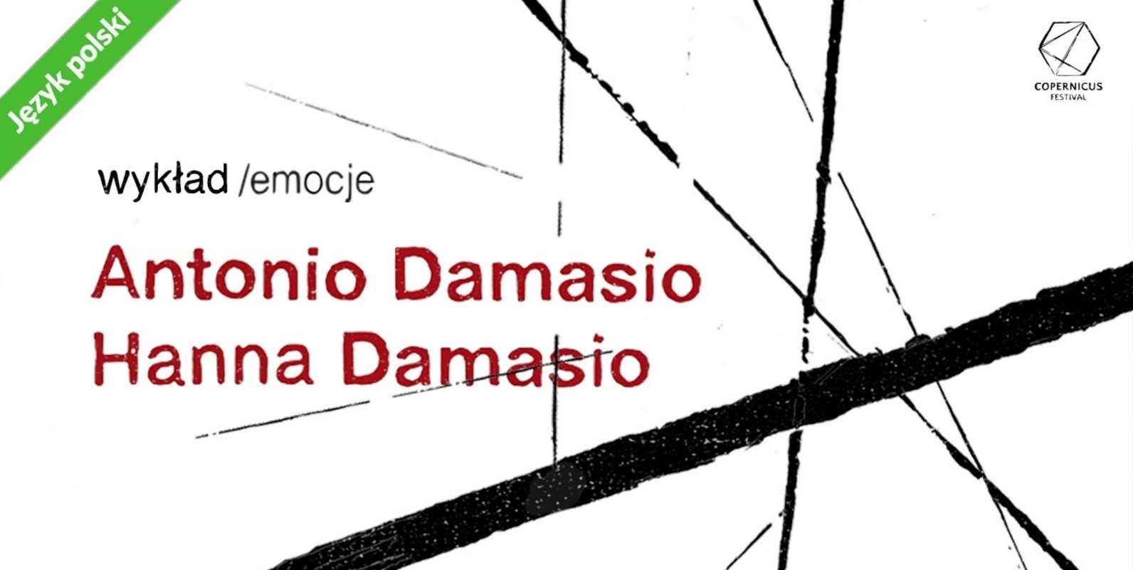 Antonio & Hanna Damasio – Dziwny porządek rzeczy. Homeostaza, uczucia i powstawanie kultur